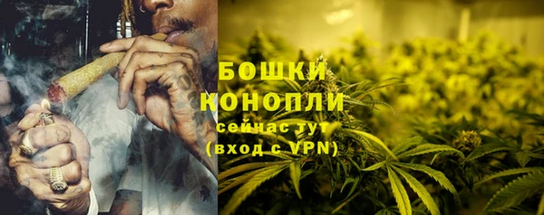 тгк Осинники